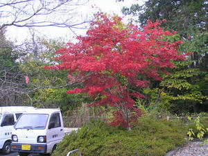 PB090697.JPG
