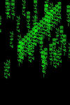 eea081ec.JPG