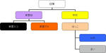 日常の役員組織図(公式)