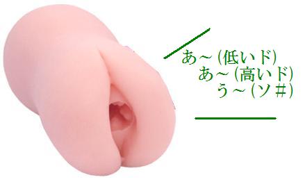 中に人がいますよ！？