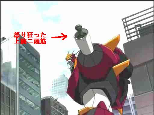 俺の上腕二頭筋が怒り狂ってる！