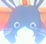 空から●ンコが！