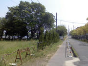 L7050059.JPG