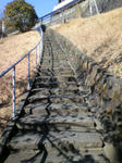 2011020410160000.jpg
