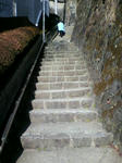 2011020410060001.jpg