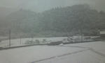 2011021415250000.jpg