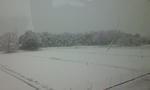 2011021415160001.jpg