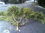 2011021514320000.jpg
