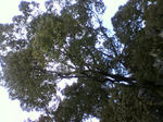 2011021515080000.jpg