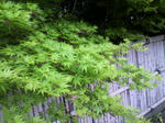 2012042114170000.jpg