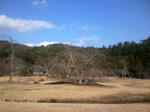 2013010114370001.jpg