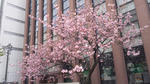 130423_095224.jpg