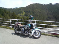SA3B0068.jpg