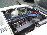 SA3B0183.JPG