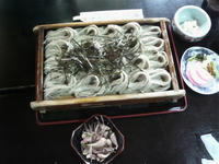 SA3B0302.JPG