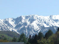 SN3J0092.JPG