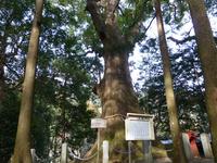P1010032.JPG