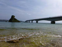 P1010172.JPG