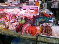 P1010247.JPG