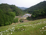 IMGP4059.JPG