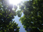 IMGP4625.JPG
