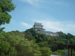 IMGP5423.JPG
