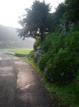 IMGP5762.JPG