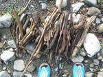 IMGP5772.JPG