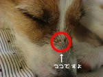 582f6556.jpg