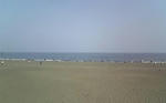 DVC00015.jpg