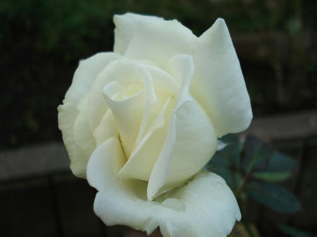 87a8c99e.jpg