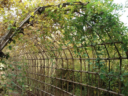 a447a50e.jpg