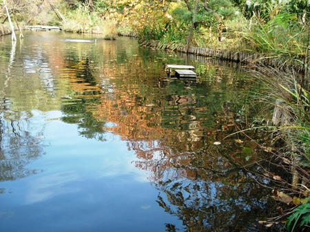 向島百花園.jpg