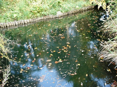 向島百花園.jpg