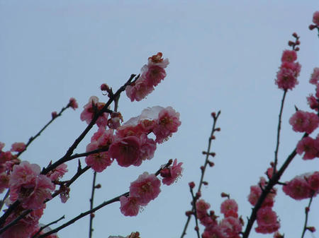 DSCF0001.JPG