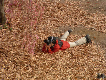 DSCF0031.JPG