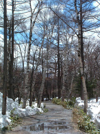 DSCF0011.JPG