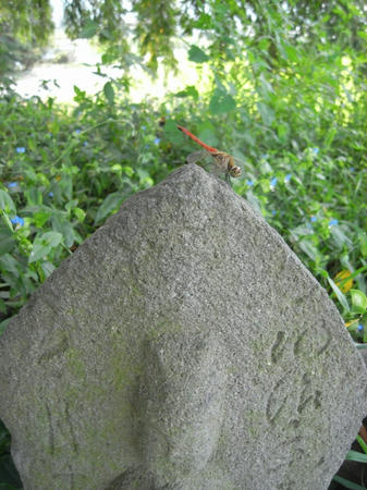 R0011009.JPG
