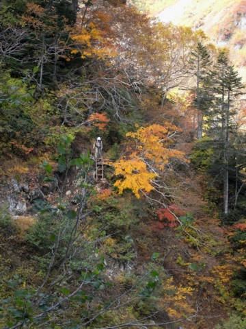 R0012459.JPG