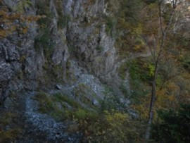 R0012449.JPG
