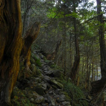 R0012959.JPG