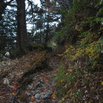 R0012680.JPG