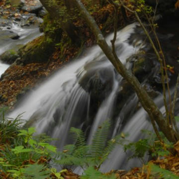 R0012896.JPG