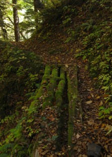 R0012919.jpg