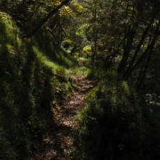 R0012943.JPG