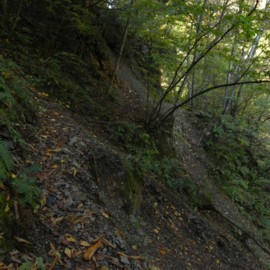 R0012954.JPG