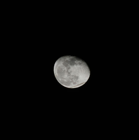 DSC_0418.JPG