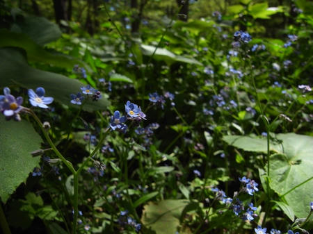 ee41f725.JPG