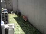 PICT0003.JPG