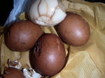 PICT0047.JPG